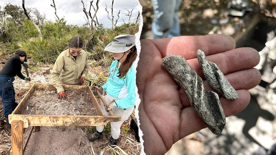 Ancient artifacts found beneath Cape Canaveral Space Force Station as one mystery still stumps researchers Perth Private Schools